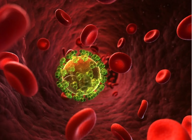 Científicos revelan nuevos datos sobre la relación entre el sida y el sistema inmunológico