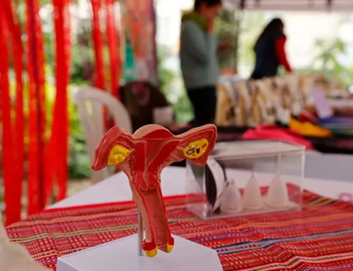 Detectan 19 sustancias dañinas para la salud en productos menstruales desechables