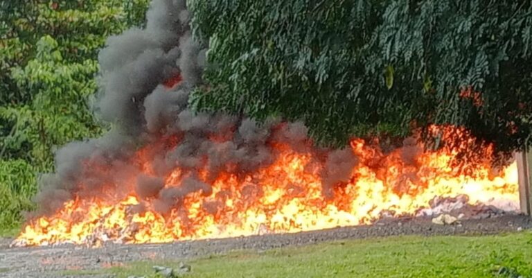 INACIF quema más de 330 kilos de distintas drogas incautadas