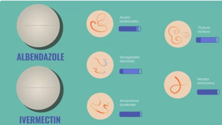 Prueban con éxito un tratamiento contra parásitos que afectan a 1,500 millones de personas