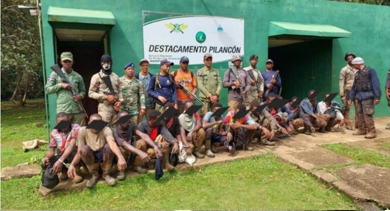 Senpa apresa 10 haitianos indocumetados por tala indiscriminada de árboles