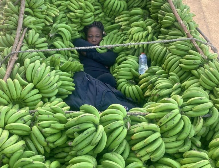 El Ejército sigue apresando dominicanos por tráfico de haitianos en Montecristi y Pedernales