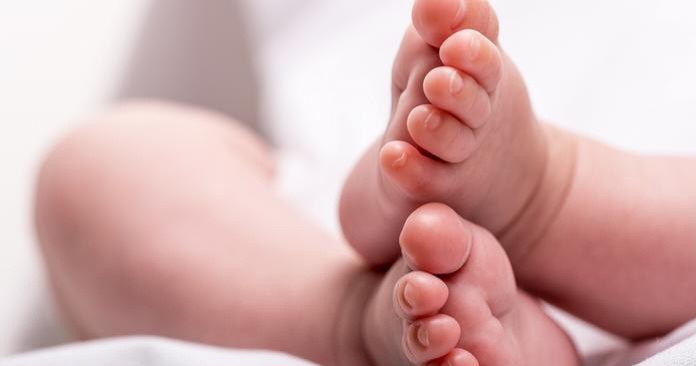 Bebé de cuatro meses muere luego que su madre le dió a tomar un té de orégano poleo