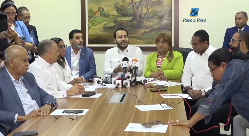 Diputados justifican exclusión de miembros actuales de la Cámara de Cuentas en preselección