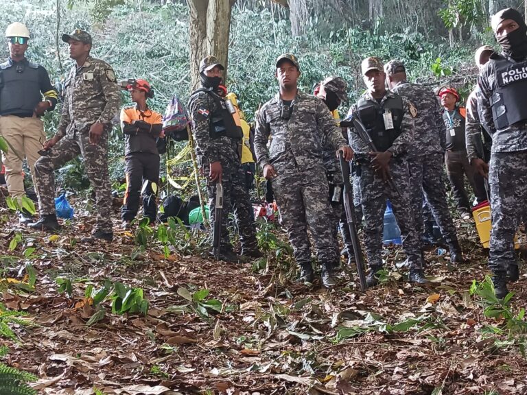 Denuncian devastación de árboles en la cabecera del Rio El Naranjo en Cotuí
