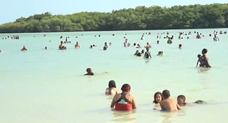 Pro Consumidor intervendrá en Boca Chica comercios que en 15 días no hayan colocado en lugar visible el precio de los productos