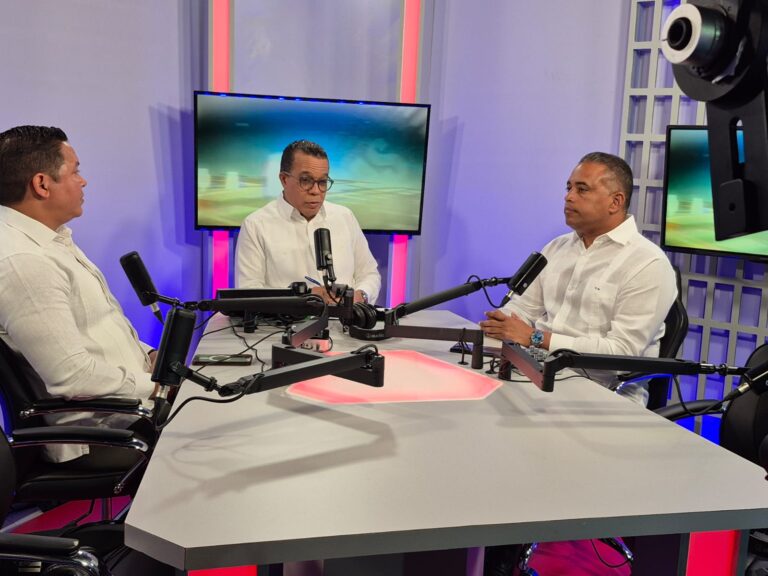 Aramis Mella: “El gobierno debe frenar el alza el dólar;  el 30% de empresarios de vehículos están quebrando”