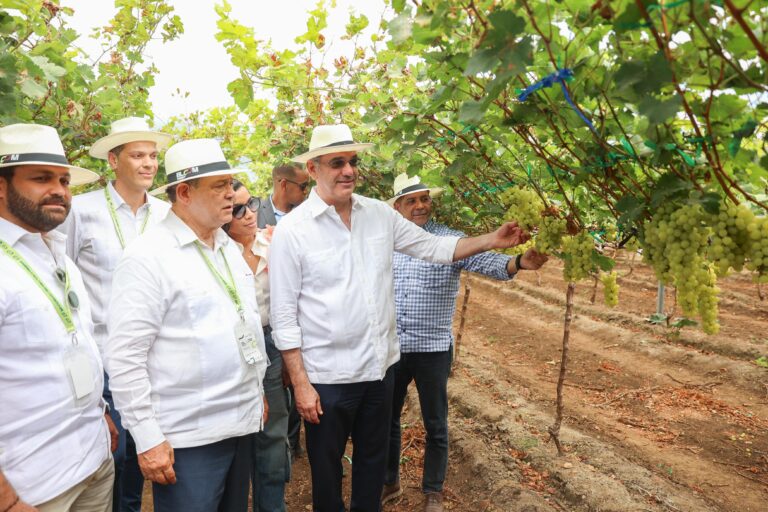 En Gobierno de Abinader República Dominicana hace historia con inicio de despacho de primer contenedor de uvas de mesa hacia EE.UU.