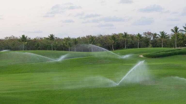 Llega el PGA Tour a Corales, la cita premium del golf