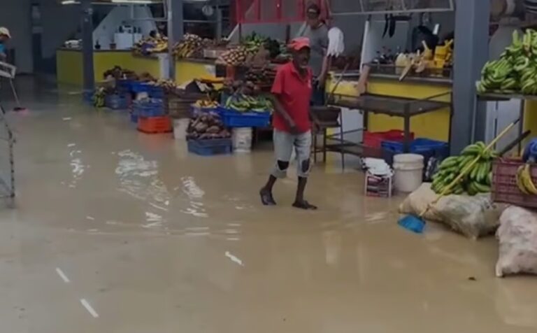 Se inunda el nuevo mercado de La Vega a pocos días de haber sido inaugurado