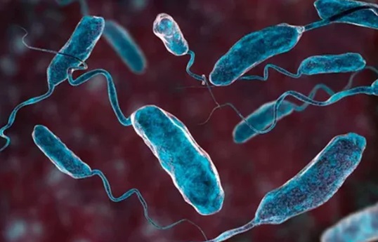 La OMS alerta sobre un aumento del 50 % en los casos y muertes globales por cólera