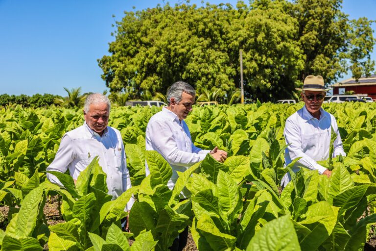 Tabaco dominicano llega a 148 países informa el  Intabaco