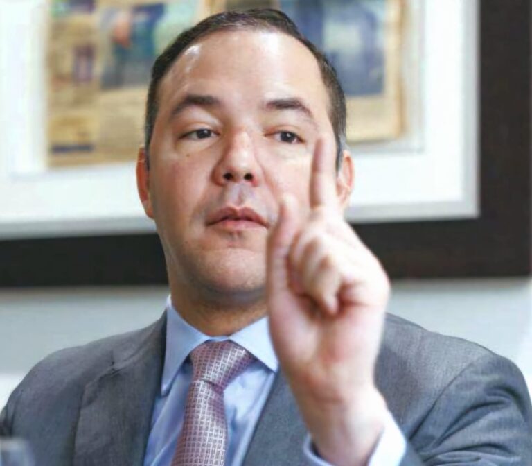 Secretario general del PLD dice decreto de emergencia energética sacrificará institucionalidad, precio y medio ambiente