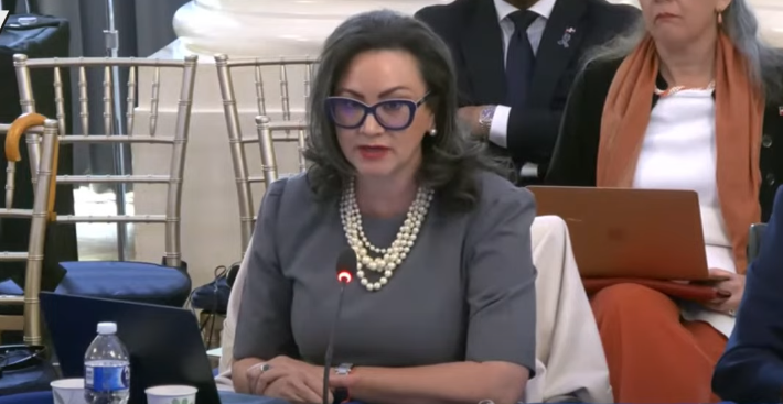 Embajadora RD pide a naciones y OEA que redoblen esfuerzos para resolver crisis Haití