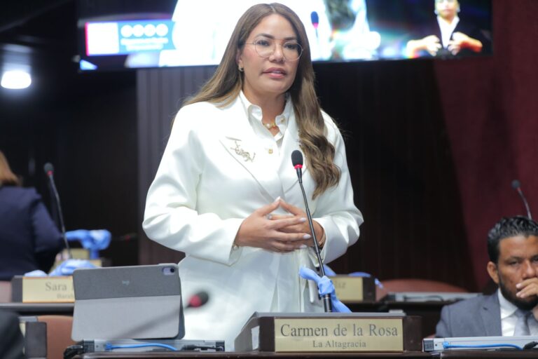 Diputada Carmen de la Rosa propone crear Colegio de Profesionales Farmacéuticos