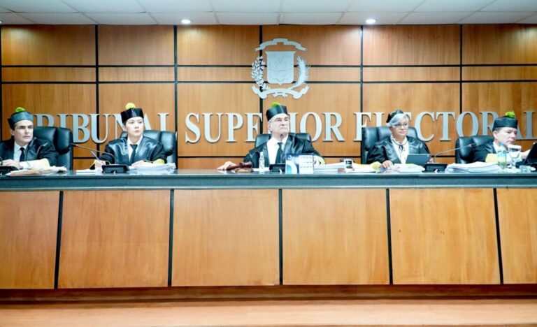 El TSE deja claro que  escogencia prematura de la elección del candidato PLD viola la Constitución