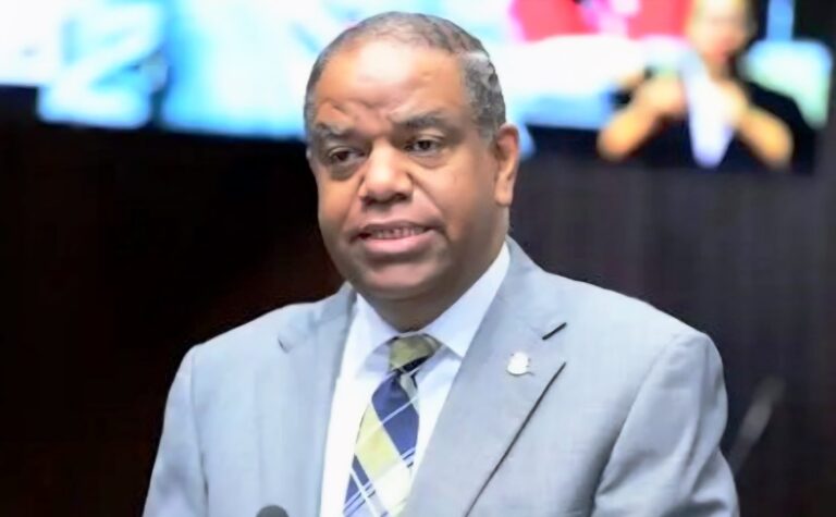 TSE le establece al PLD cómo hacer la Consulta