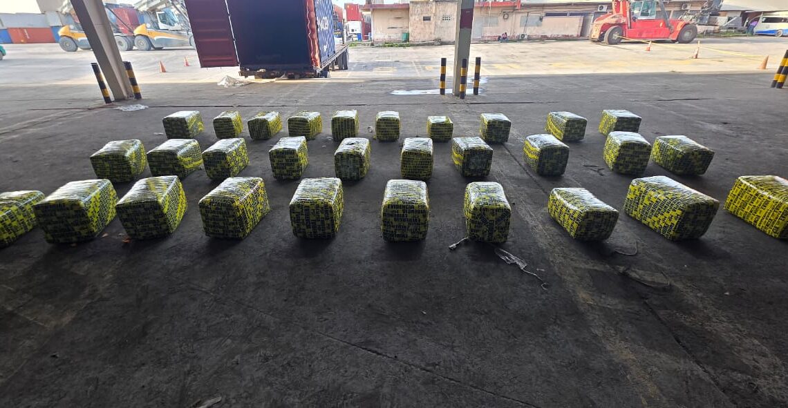 Guatemala decomisa 900 libras de marihuana que tenían como destino a República Dominicana