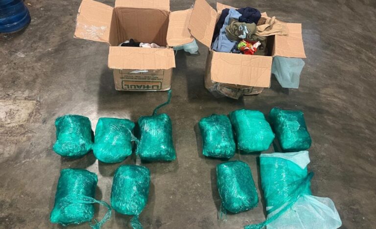 DNCD ocupa en el AILA diez paquetes de marihuana camuflados en prendas de vestir