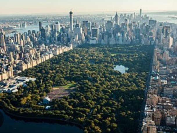 Túneles: La Solución para Proteger el Jardín Botánico y un Recordatorio desde Central Park