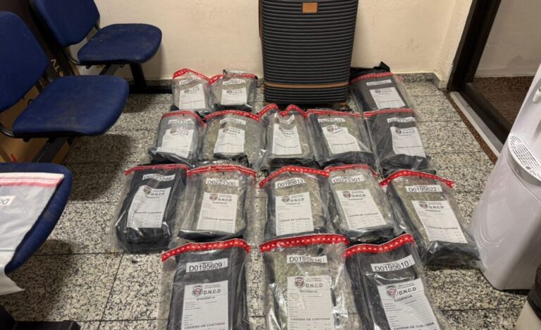 DNCD apresa en el AILA a una extranjera con dos maletas llenas de presunta marihuana