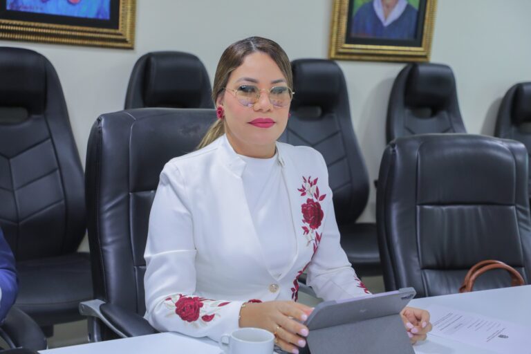 Diputada Carmen de la Rosa solicita energía eléctrica 24 horas para municipio cabecera de La Altagracia