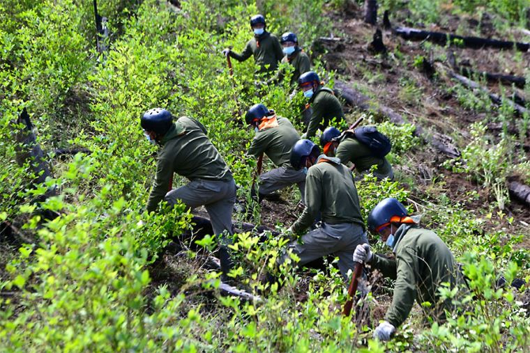 Perú erradica más de 17,000 hectáreas de cultivos de coca destinados al narcotráfico