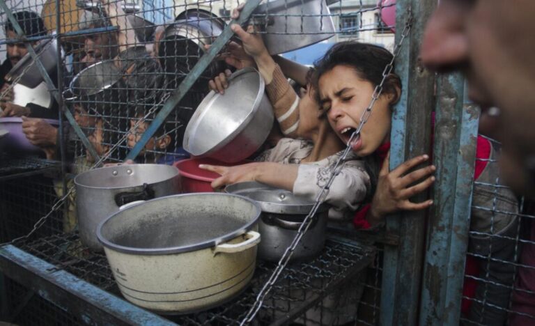 Gaza registra cuatro nuevos muertos por desnutrición, dos mujeres y dos hombres