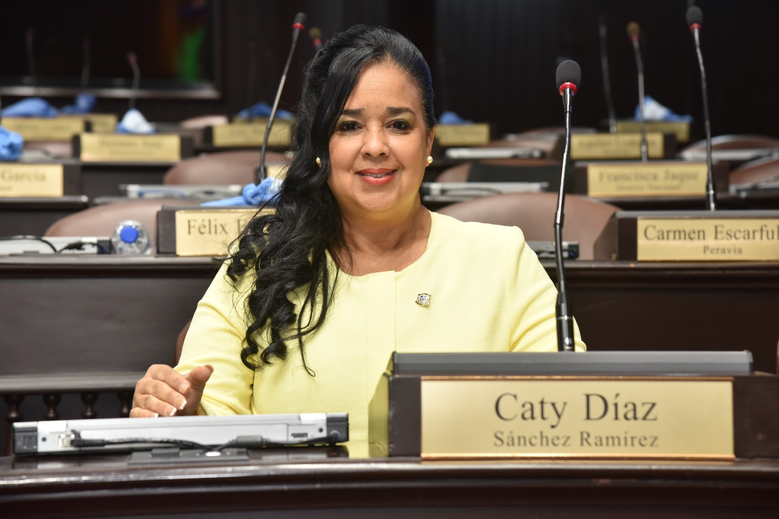 Diputada Caty Díaz mantiene un récord perfecto de asistencia en la Cámara de Diputados