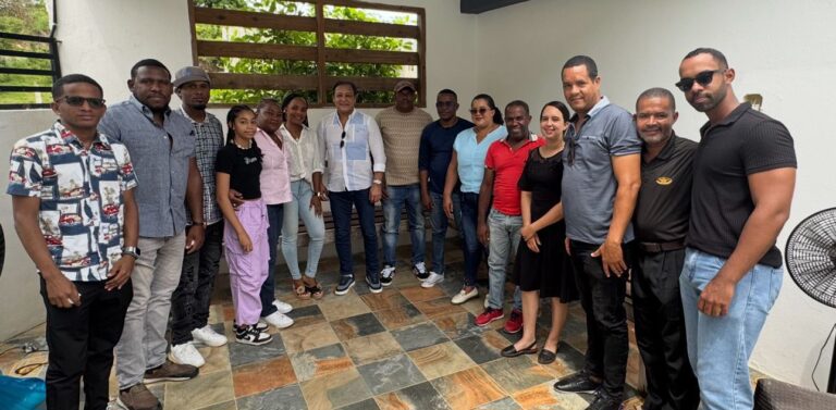 Abel Martínez: “El hoyo corrupto en SENASA solo es equiparable al hoyo ineficiente del sector eléctrico”