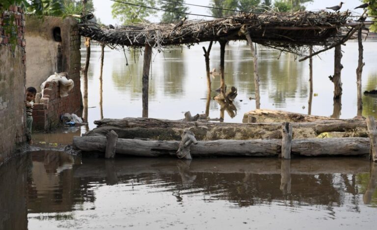 Casi 900 muertos por lluvias mientras la emergencia se agrava en el este de Pakistán