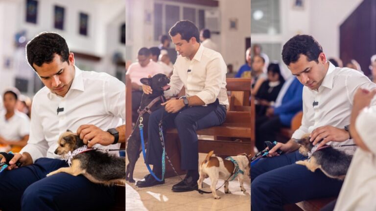 Omar Fernández impulsa reforma para endurecer sanciones contra el maltrato animal