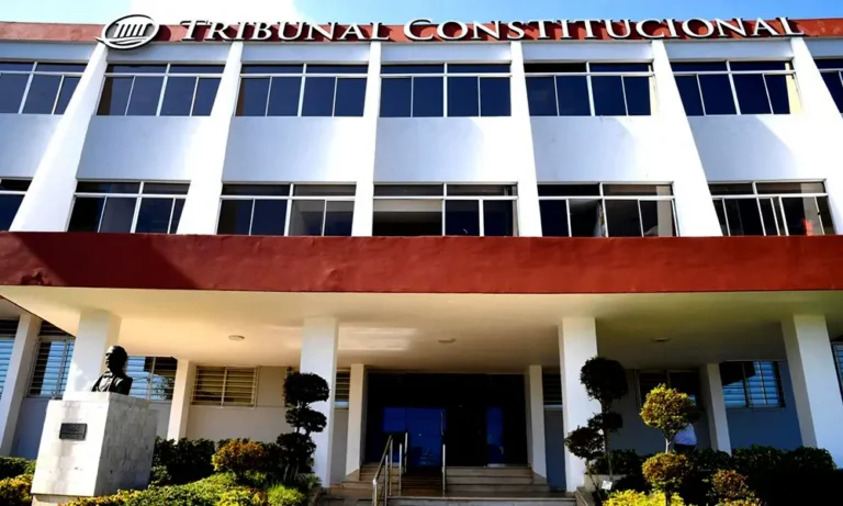 Tribunal Constitucional anula ley que regula embargos de bienes muebles e inmuebles