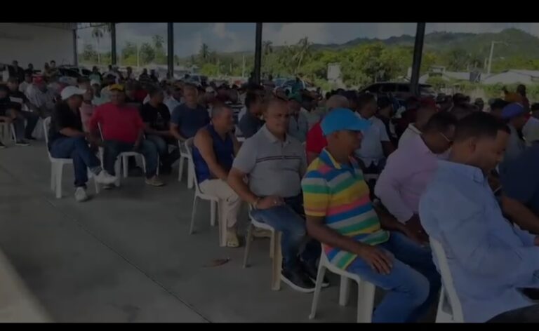 Productores arroceros del Nordeste piden al Gobierno medidas urgentes para evitar el colapso del sector