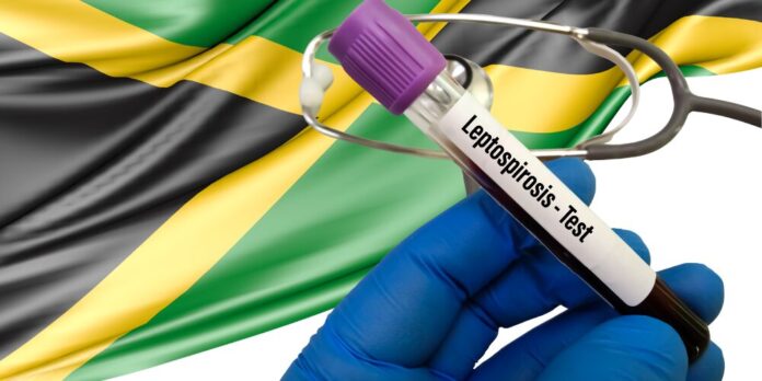 Jamaica sufre un brote de leptospirosis