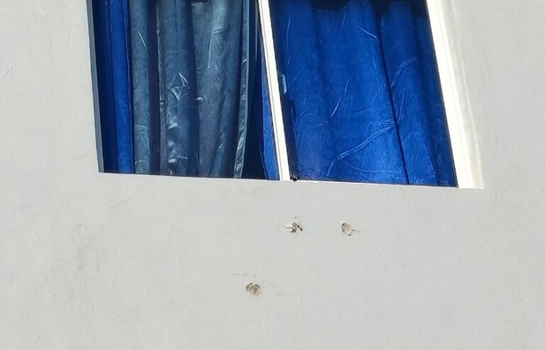 Desconocidos le entran a tiros a la vivienda del alcalde de Navarrete; nadie resulta herido