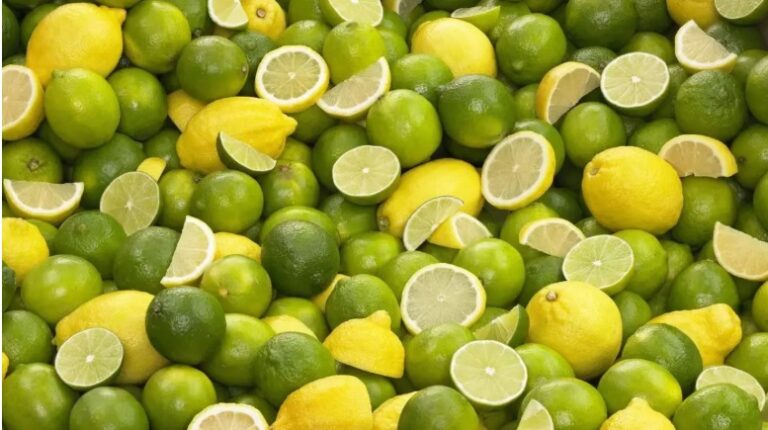 Clúster del Limón alerta sobre riesgos fitosanitarios por importación de productos agrícolas