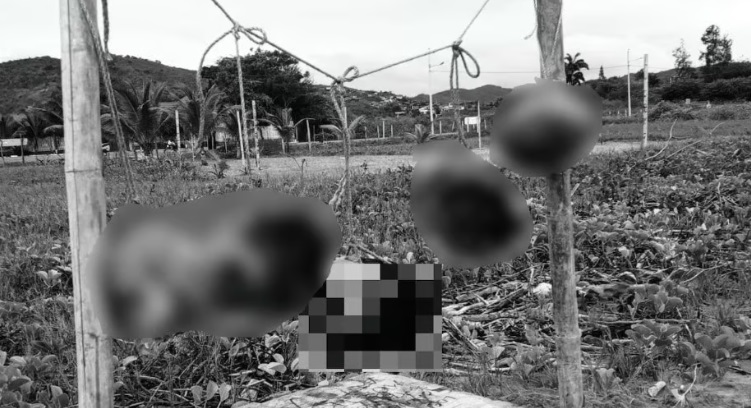 Hallan cinco cabezas humanas colgadas en una playa de Ecuador