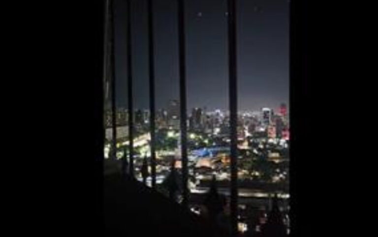 Policía venezolana disparó contra drones no autorizados cerca del Palacio de Miraflores, informa el gobierno