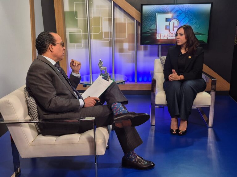 Karen Ricardo: “El país ha retrocedido 20 años con el PRM; la comida está cara; a SeNasa lo destruyeron”  