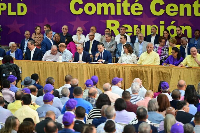 Reportaje- PLD decidió echar el pleito con TSE que prohibió mediante sentencia escoger candidato fuera de plazo