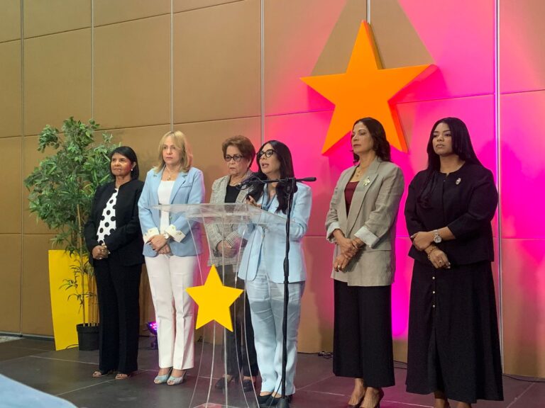 PLD considera hay retroceso en el bienestar femenino bajo este gobierno